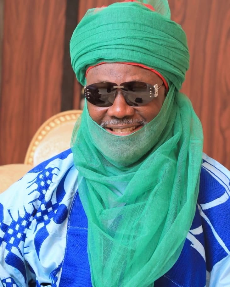 Dino Melaye Biography