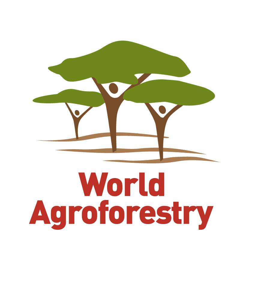 Grants Deputy Manager at World Agroforestry Centre