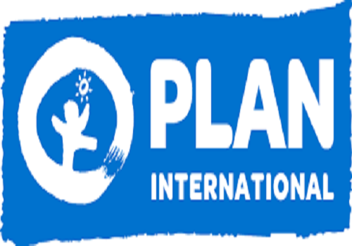 Plan International's Interim Partnerships Head