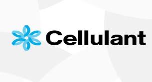 Cellulant Corporation's Tech Lead - Instore